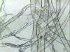 Paper fibers
