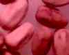Termite droppings