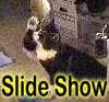 Slide show